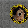 Metro Goldwyn Mayer Television (1960-1973) logo HD