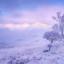 View to Beinn Eighe