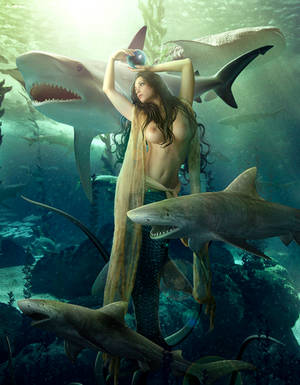 Black Pearl by sasha-fantom Black Pearl by sasha-fantom