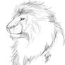 Lion sketch