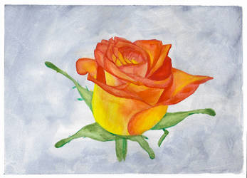 How To Paint a Rose in Gouache