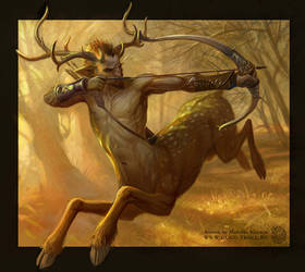 Deer archer