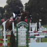 MI3 - Show Jumping 2