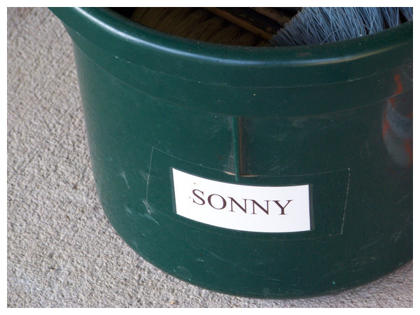 Sonny's Bucket