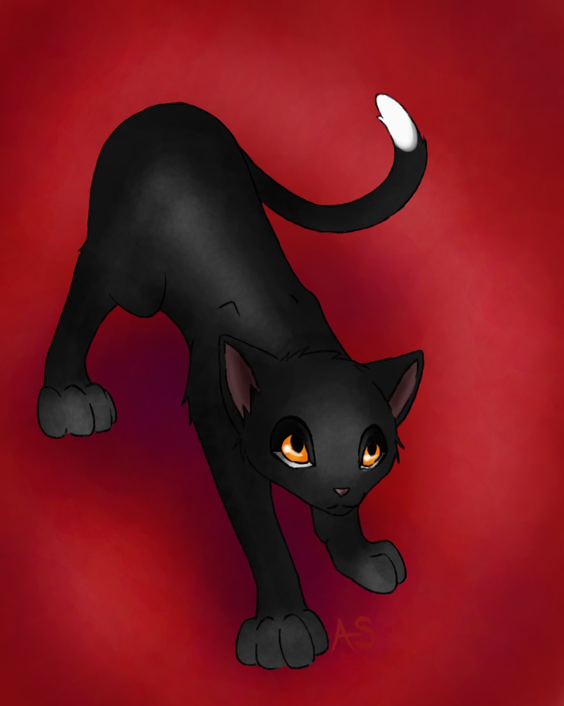 Ravenpaw