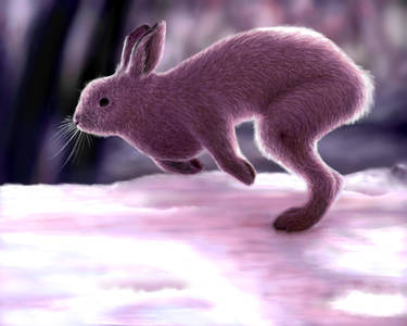Some rabbit I found in Sunky's schoolhouse! by Kirby6472 on DeviantArt