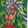 New SSJ5 Broly Design