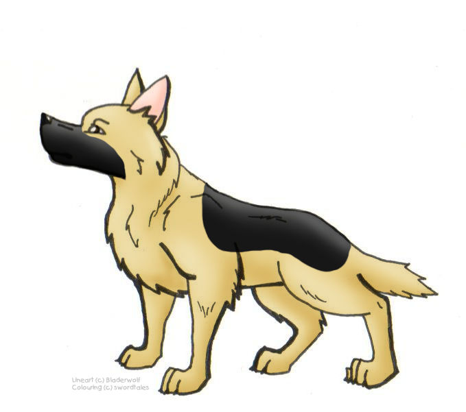 GSD Lineart -coloured- by sword-tales on DeviantArt