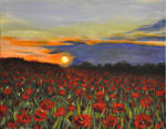 Poppy field by NickMears