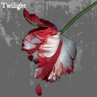 Twilight I.M Pic