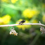 Don't wanna fly away