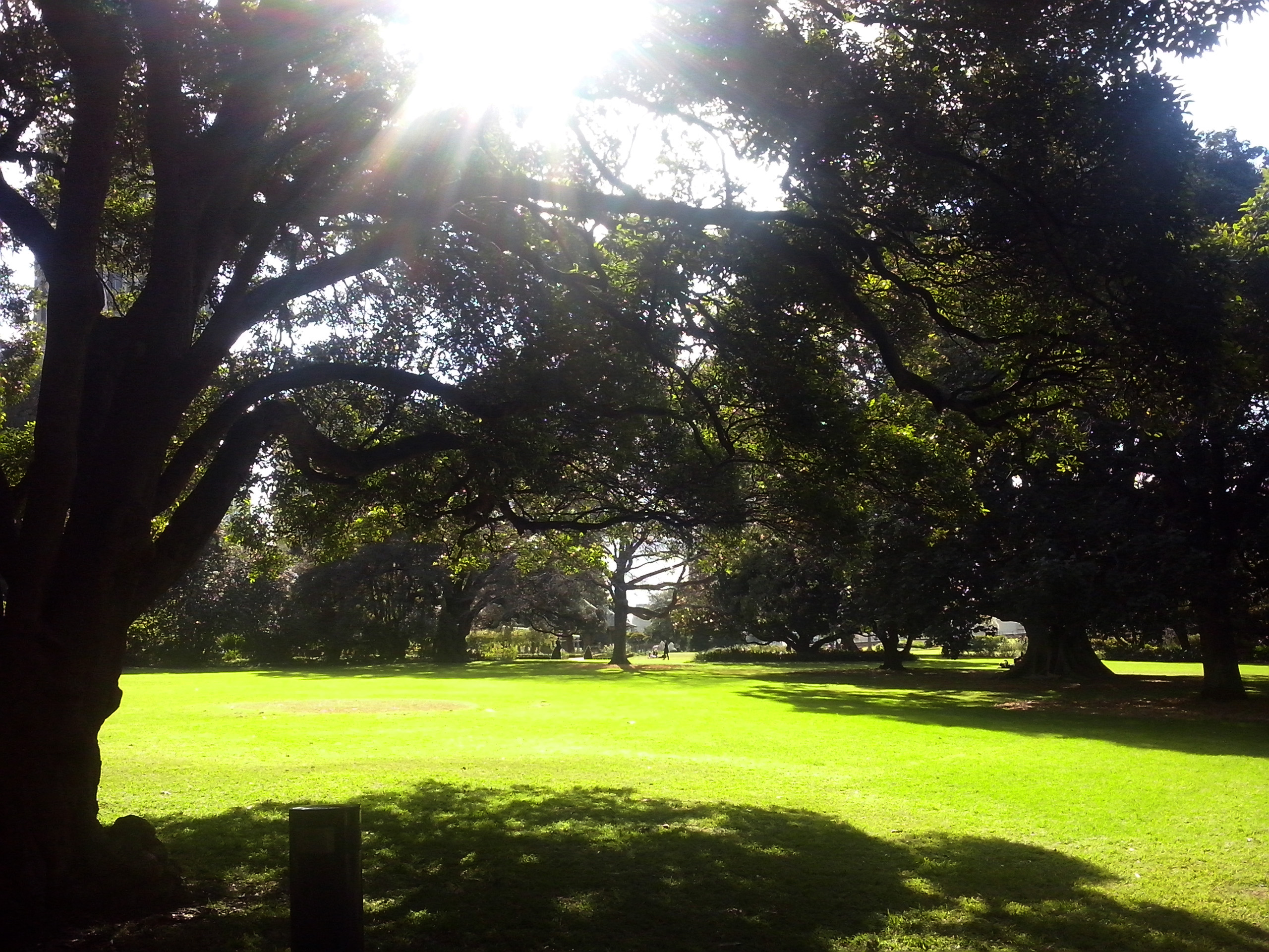 Sydney Park