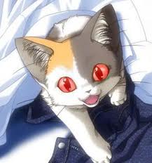 Cat Red Eyes