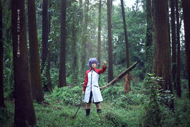 Hakkenden 03