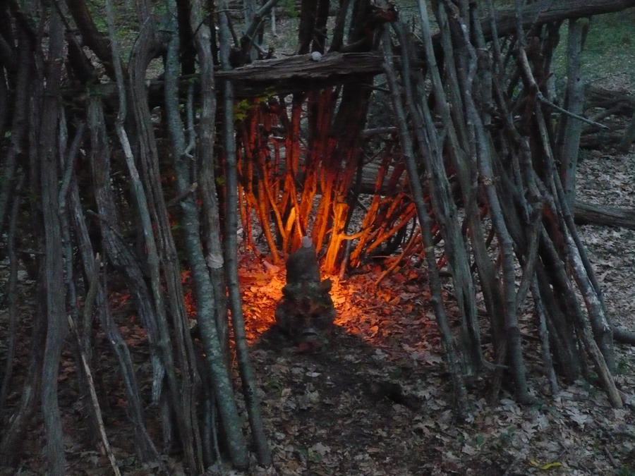 The Shrine in the Forest...