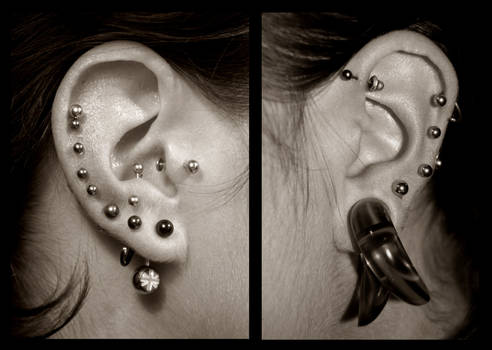 ear piercings 21-09-08