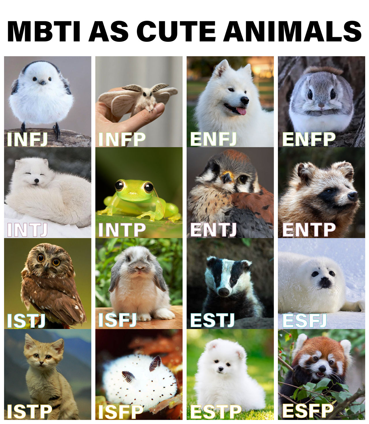 Mbti Type Chart And Storytelling Mbti Mbti Animals Mbti Charts
