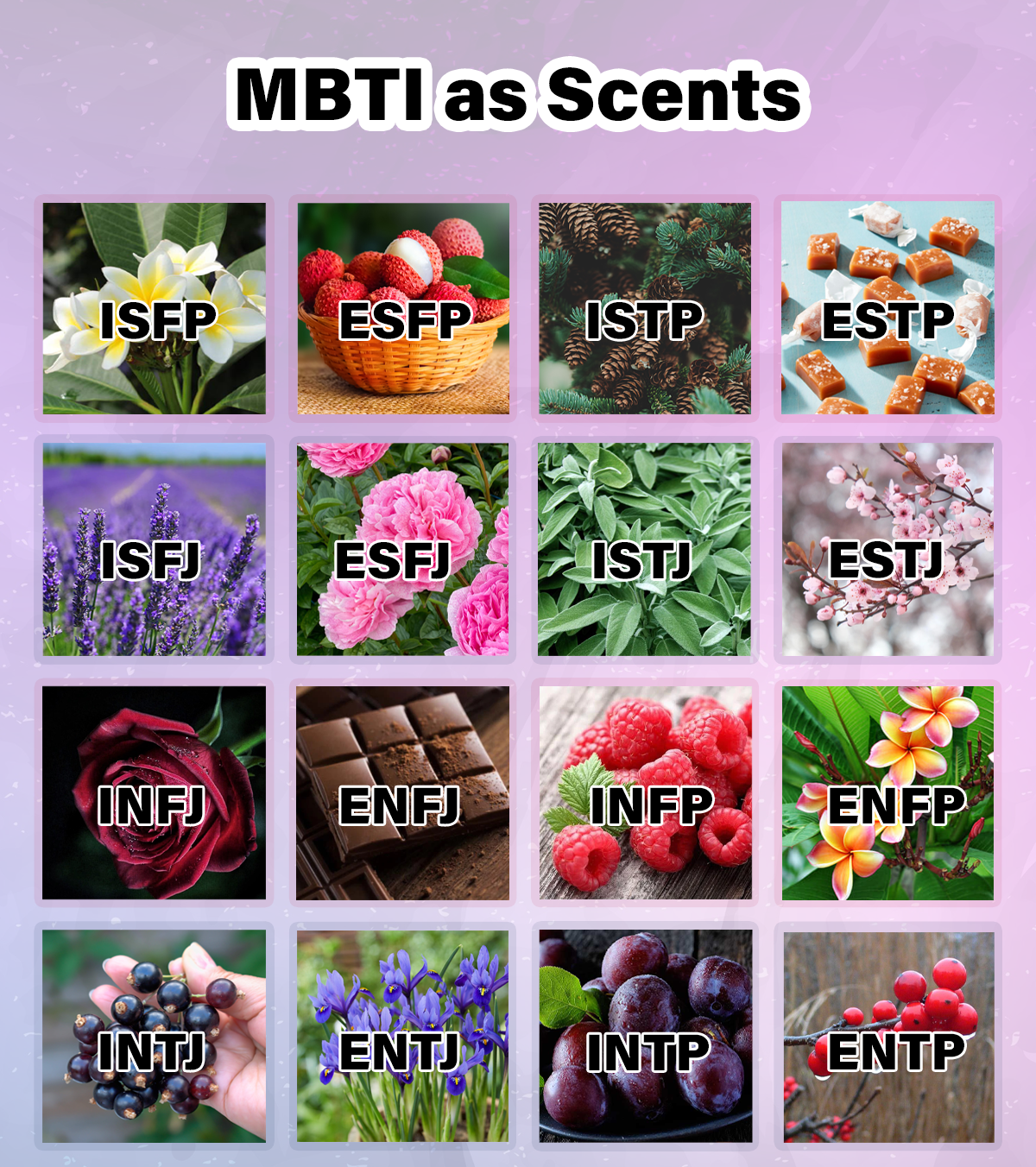 MBTI as Scents List in description by Schemes97 on DeviantArt