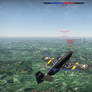 New P-51