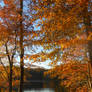 Golden autumn view of the lake