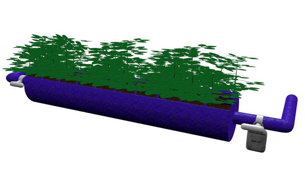 Hydroponic Plant for animation project