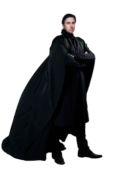 Steven Spielberg's Harry Potter - Severus Snape