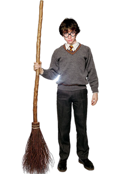Spielberg's Harry Potter - Harry Potter (backup)