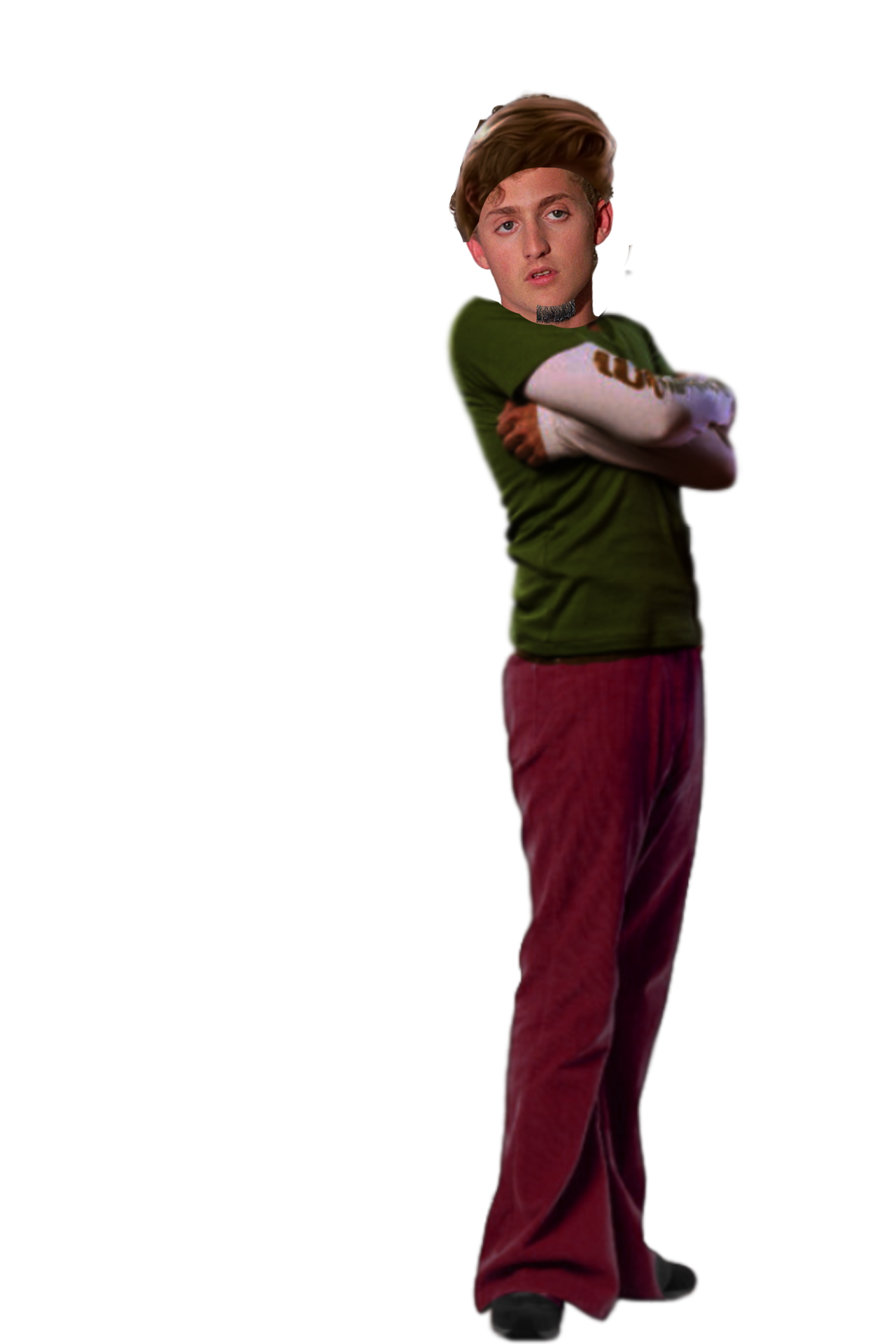 Tim Burton's Scooby-Doo: Shaggy Rogers