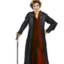 The Lady