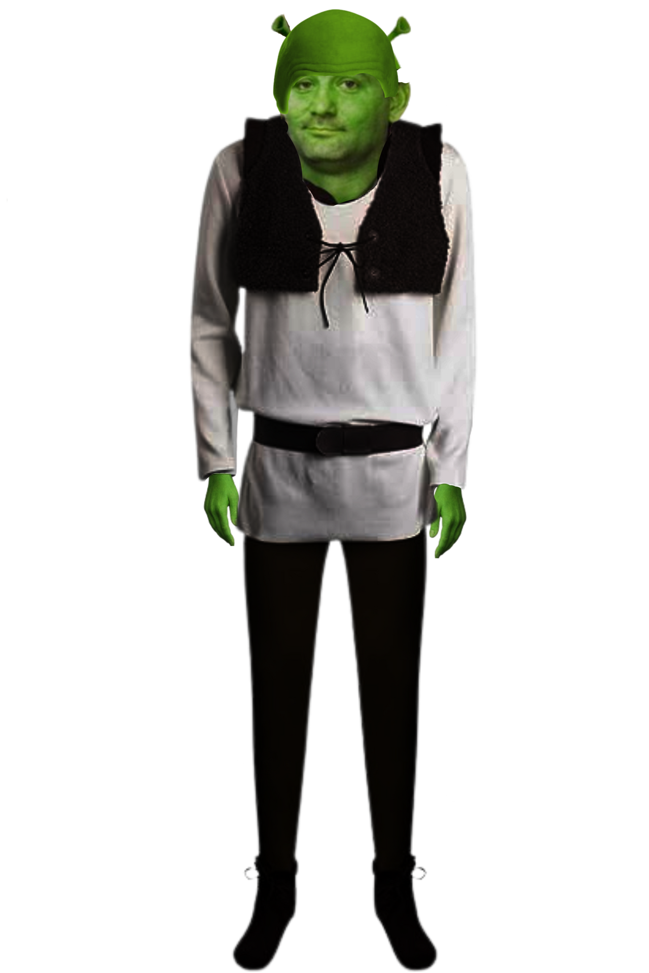 Steven Spielberg's Shrek - almost Shrek Casting