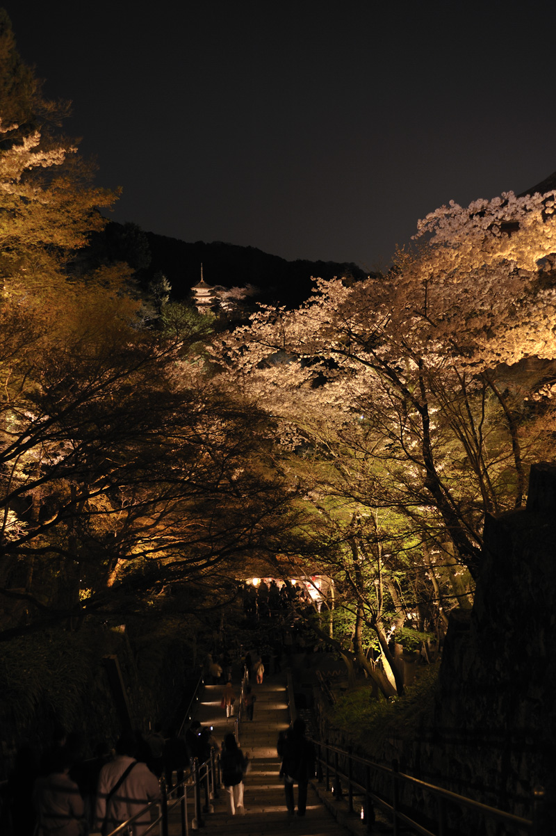 In Kyoto Spring-1