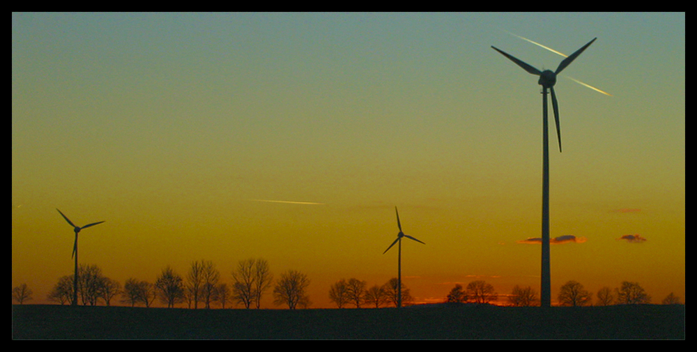 Evening Skyline