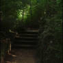 Forest stairs