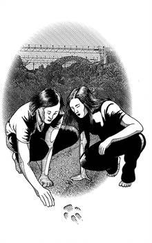 Walkabout Atmospheric Image 24