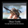 Disco Turtle