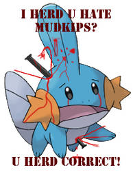 I HERD U HATE MUDKIPS?