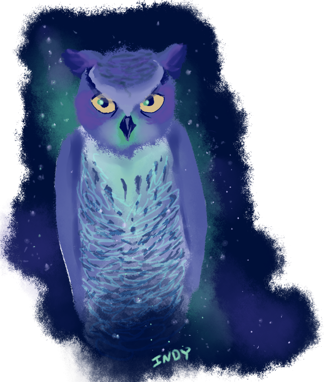 Space Owl