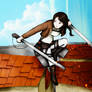 attack on katniss