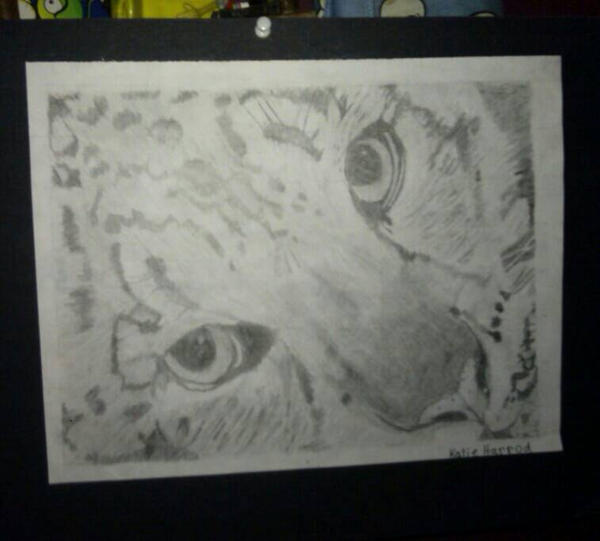 Inverted Drawing by Nightmare1155 on DeviantArt