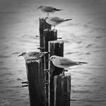 I'll Be There by Eibography