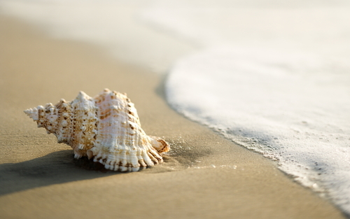 Stranded on the beach