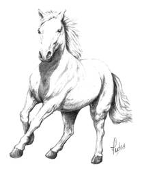 White Horse