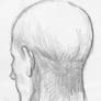 Sketch: Back of Head