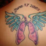 Lungs with wings