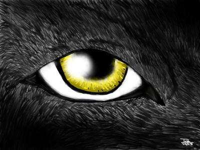 Beast's Eye