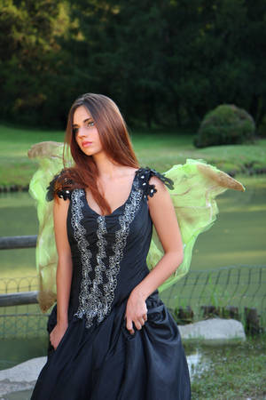 Fairy Wing HD by FrancescaAmyMaria Fairy Wing HD by FrancescaAmyMaria