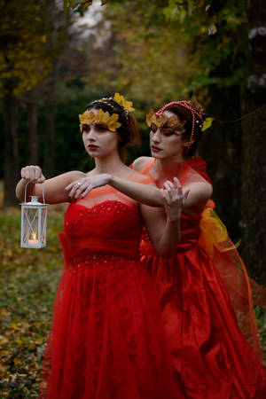 Autumn End - Stock by FrancescaAmyMaria Autumn End - Stock by FrancescaAmyMaria