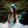 Fairy