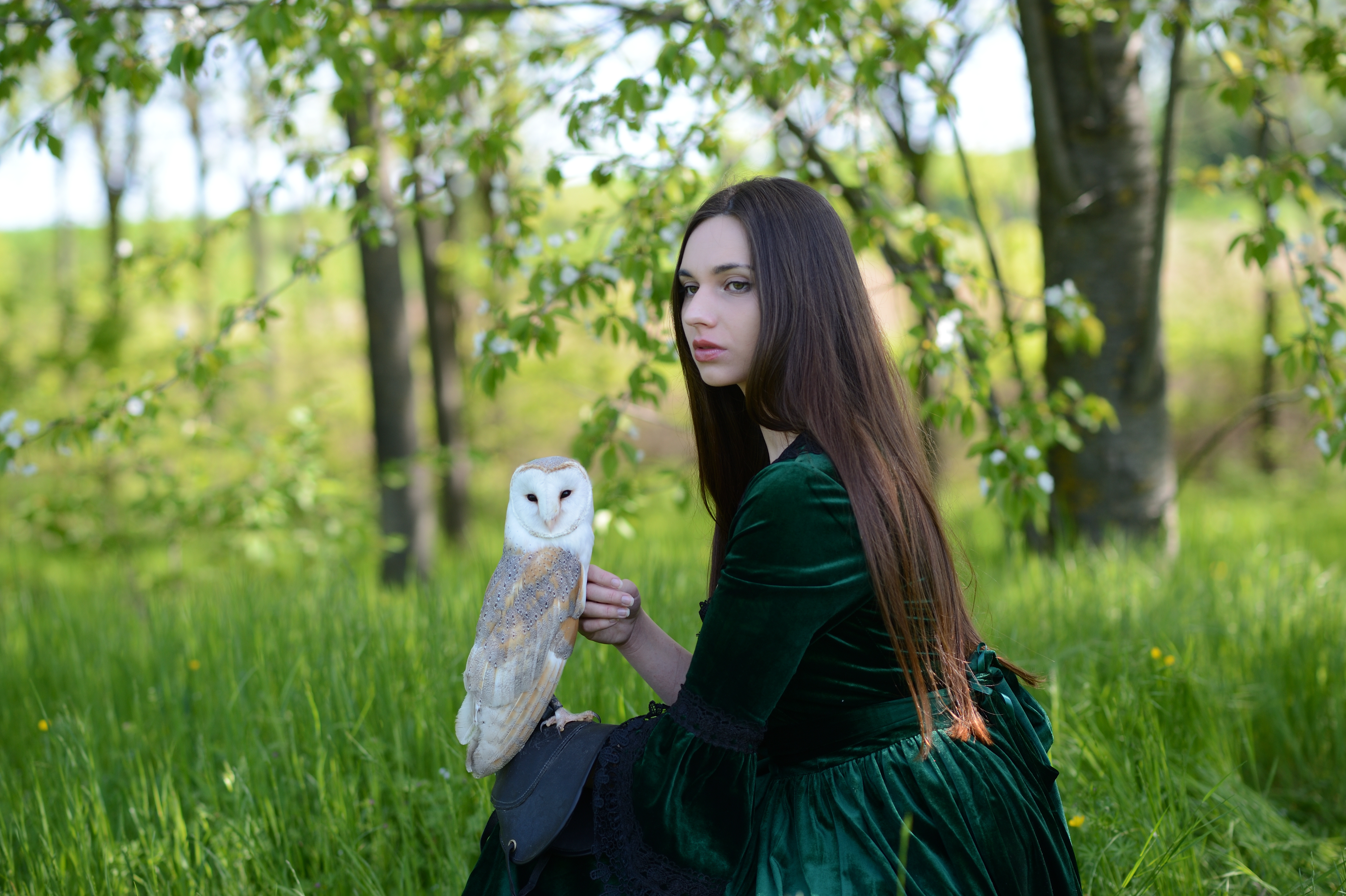 Lady with Barn Owl