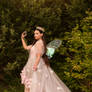 Fairy 2